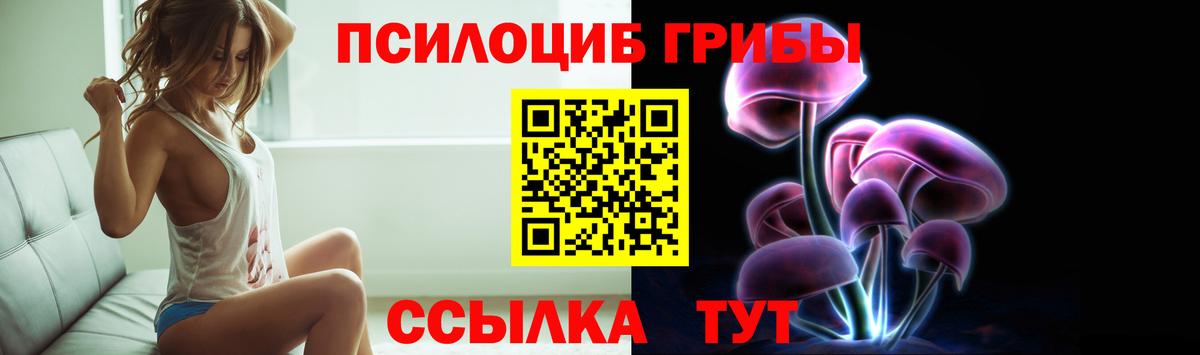Псилоцибиновые грибы Psilocybine cubensis Соль-Илецк